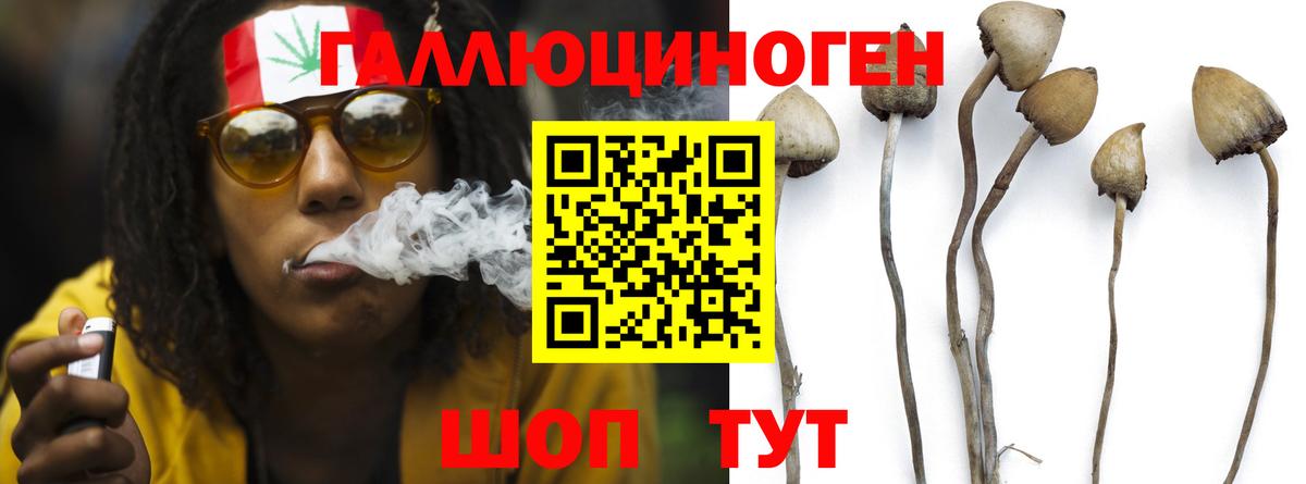 Сухой Лог  где можно купить   Вход с VPN  Галлюциногенные грибы мицелий  Галлюциногенные грибы ЛСД 